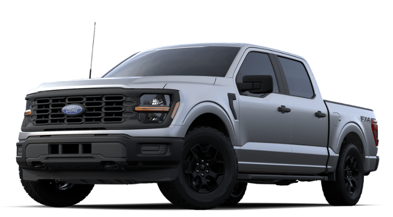 2024 Ford F-150 Vehicle Photo in Terrell, TX 75160